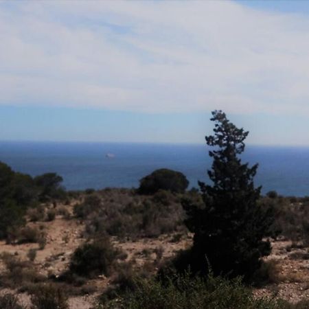 Modern Flat At Garbinet With Wifi Apartment Alicante Bagian luar foto