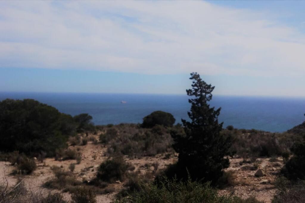 Modern Flat At Garbinet With Wifi Apartment Alicante Bagian luar foto